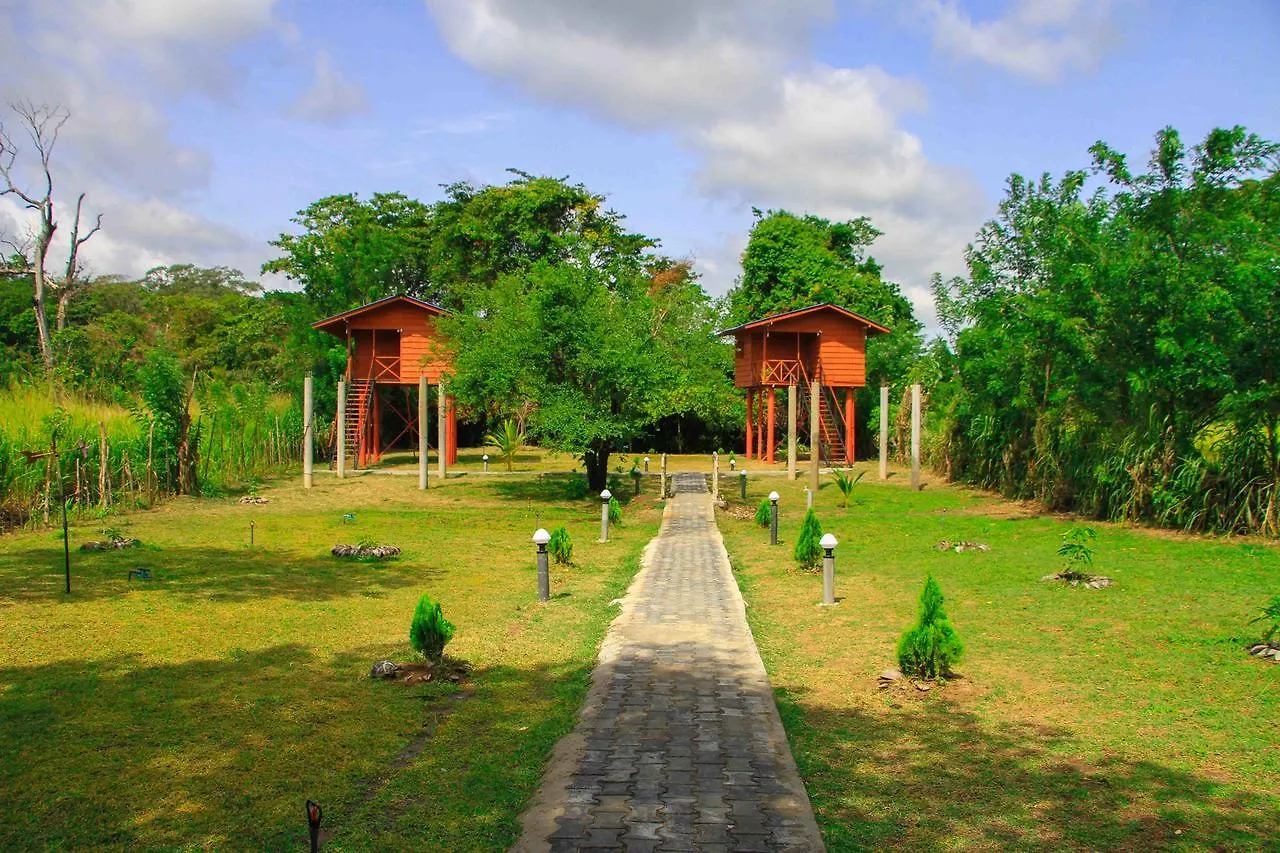 Hotel Sigiri Royal Point Tree House Sigiriya