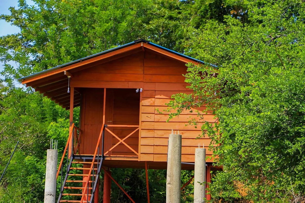 Hotel Sigiri Royal Point Tree House Sigiriya