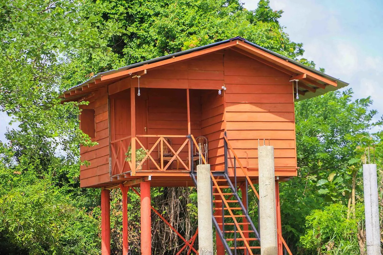 Hotel Sigiri Royal Point Tree House Sigiriya Sri Lanka