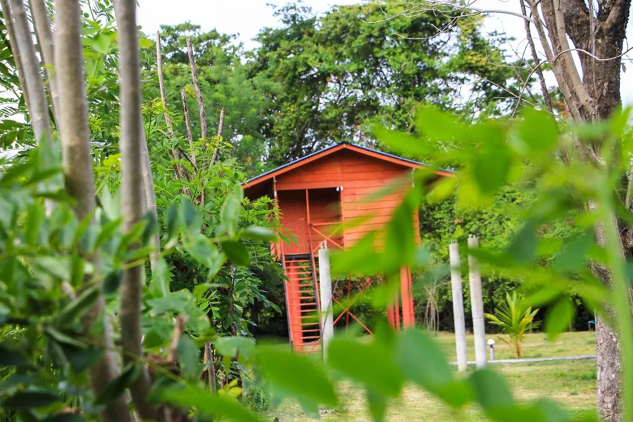 Hotel Sigiri Royal Point Tree House Sigiriya