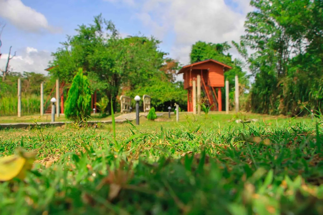 Hotel Sigiri Royal Point Tree House Sigiriya