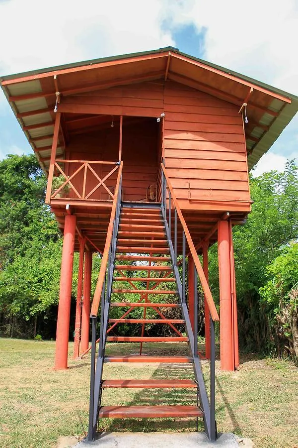 Sigiri Royal Point Tree House Hotel Sigiriya Sri Lanka