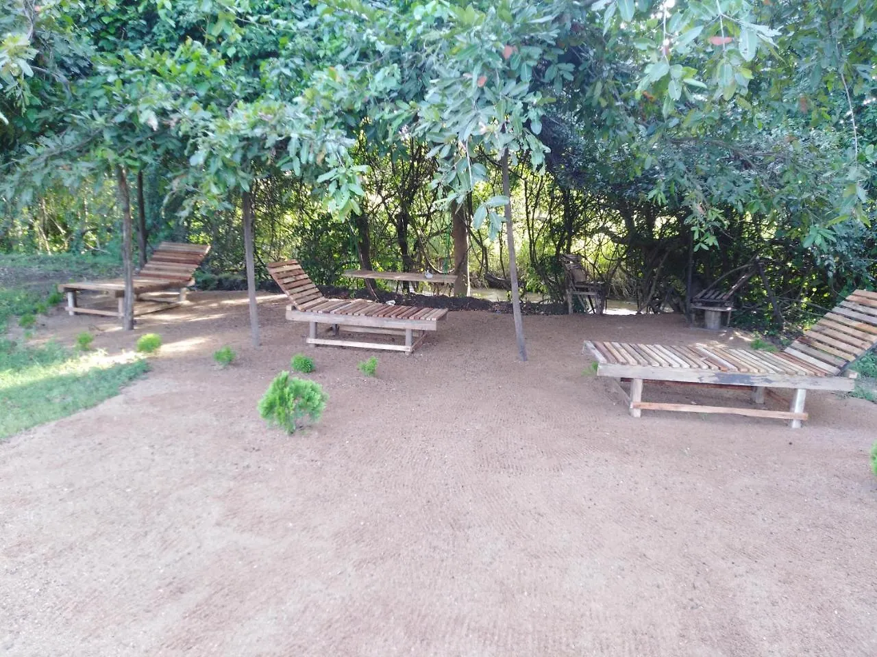 Sigiri Royal Point Tree House Hotel Sigiriya